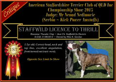 Class 8 ~ 1st ~ Staffwild Licence To Thrill.png